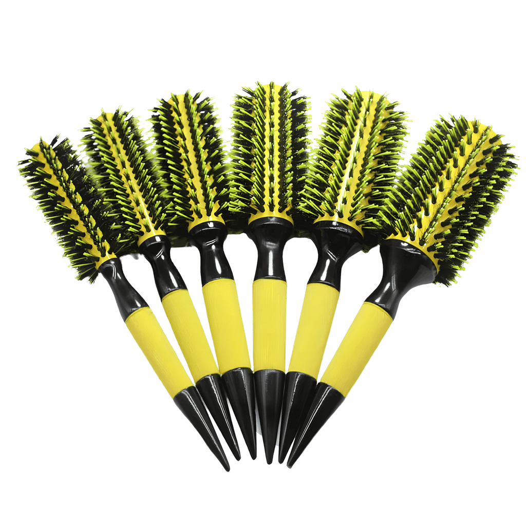 Kit com 6 Escovas Evas Original do Brasil (cerdas de javali)