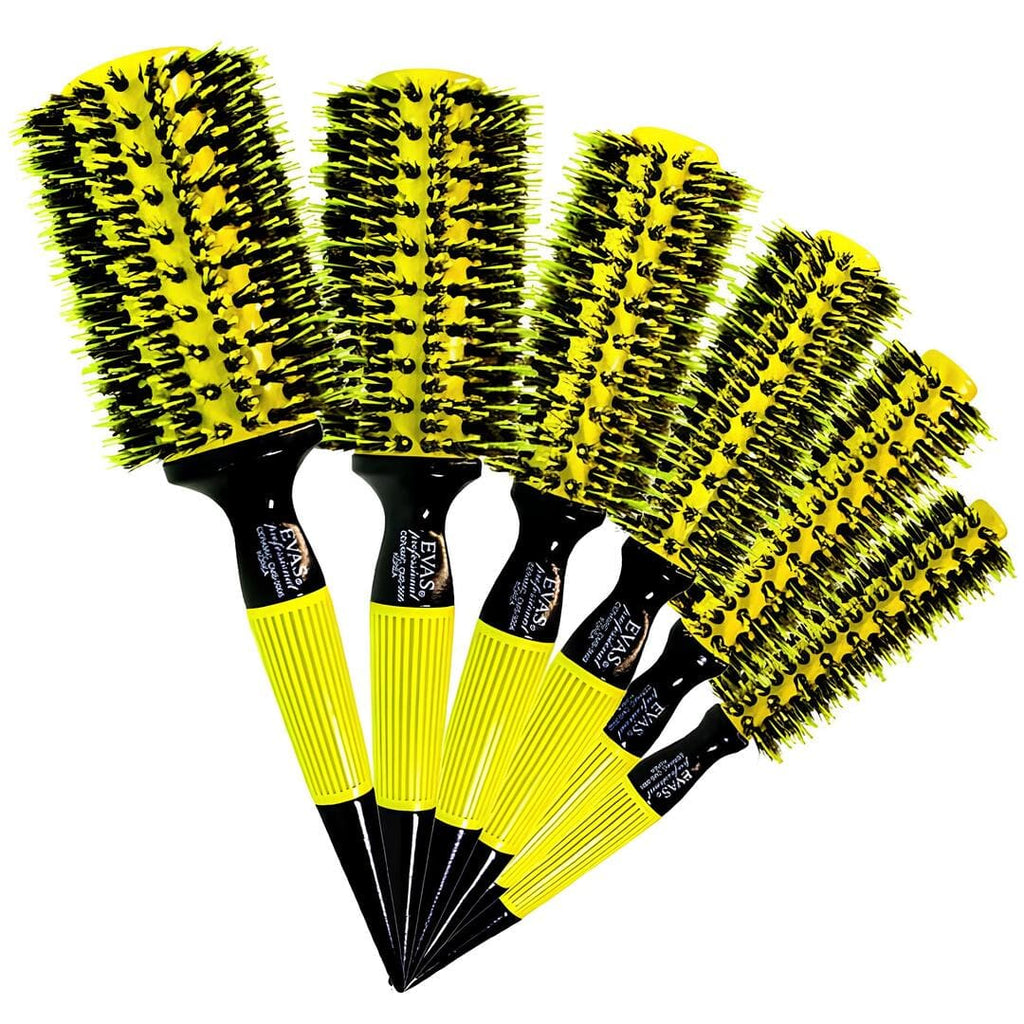 Kit com 6 Escovas Evas Original do Brasil (cerdas de javali)